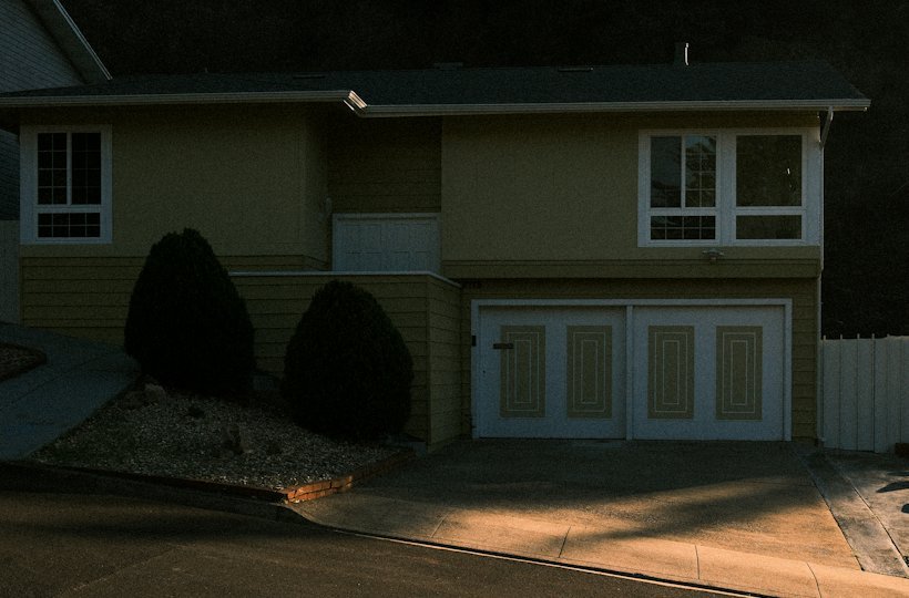 Suburban house with a garage and landscaped front yard